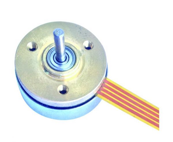 20mm Outer Rotor Brushless DC Motor